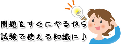 動画学習なら試験に使える知識に