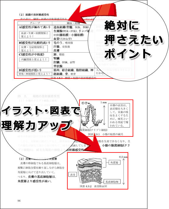 テキストのイラスト・図表・ポイント